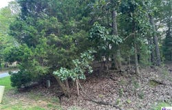 539 Strawberry Hill Drive, Brandenburg, KY 40108