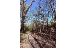 258 Bessie Ann Hill Road, Farmington, WV 26571