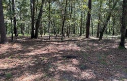 2293 Cotton Lane, Summerton, SC 29148