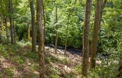 Tbd Nashs Knoll, Cashiers, NC 28717