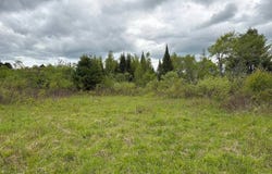 00 St Rt 8, Cold Brook, NY 13324