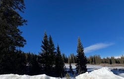 681 EL LOBO LANE, Fairplay, CO 80440