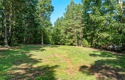 Birdsong Rd lot: 22, Ebony, VA 23845