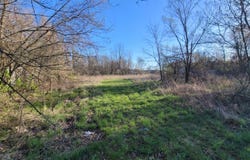 325 Powers Street, Homer, MI 49245