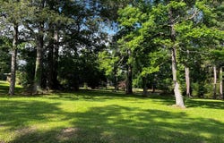 1045 Pace St, Many, LA 71449