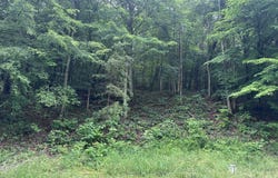 71210 Cox Rd, Wilkesville, OH 45695