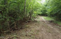 171 acres Scenic River Rd, Madisonville, TN 37354