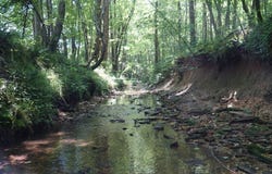 Happy Hollow Rd, Red Bay, AL 35582