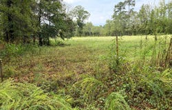 317 HIGH ST, Winthrop, AR 71866