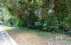 106 Durnford Hill Court, Daphne, AL 36526
