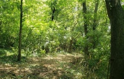 N Baltimore Avenue, Gladstone, MO 64118