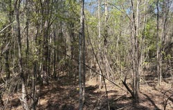 SW Auburn Drive, Bogue Chitto, MS 39629