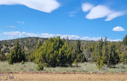 Alder, MT 59710