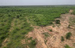 Tbd CR 119, Clyde, TX 79504