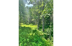 Tbd4 Destination Drive, Nevis, MN 56467