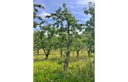 23398 Mt Highway 35, Bigfork, MT 59911