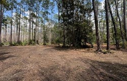 9TH Avenue, DELAND, FL 32724