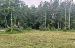 1949 Roopville Veal, Roopville, GA 30170