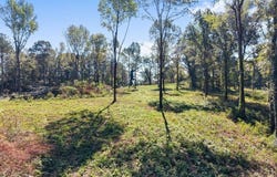 #5 A STREET lot: #5, ONEONTA, AL 35121