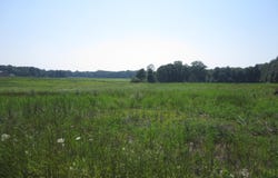 0 Blackmer Road, Ravenna, MI 49451