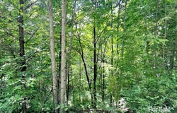 521 Signal Ridge, Sylva, NC 28779