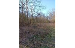 3512 CR Tract 1, Clarksville, AR 72830
