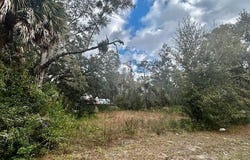 1109 E Drew Drive, Perry, FL 32347