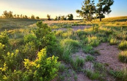 TBD County Road 59, Yuma, CO 80759