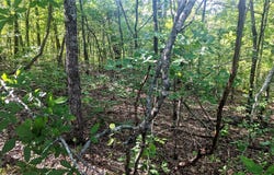 Lot 5 Silvercliff Way, Branson West, MO 65737