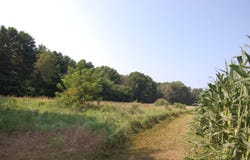 45 Spring Hill Rd Road, Richland Center, WI 53581-0000