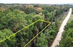 375 Rock Creek Drive, Trinity, TX 75862