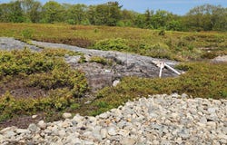 2 Whispering Berries Hill, Liberty, ME 04949