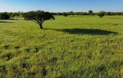 3626 Sikes Road, Graford, TX 76449