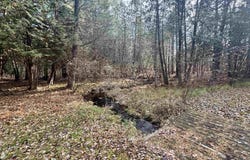 421 W Washington, Farwell, MI 48622