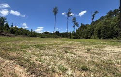 Stump Road, Crosby, MS 39633