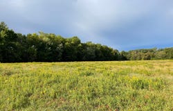 140th Avenue, Foreston, MN 56330