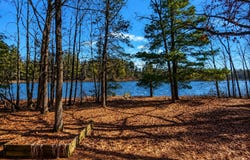 11000 N Wilvan Drive, Bitely, MI 49309