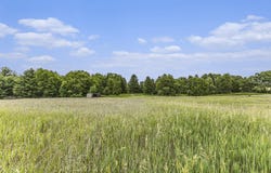 20190 6 Mile Road, Reed City, MI 49677