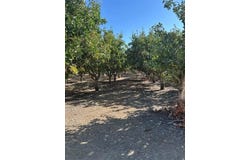 9933 Road 224, Terra Bella, CA 93270