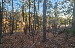 Amelia, McCormick, SC 29835