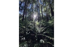 ArchCape, OR 97102