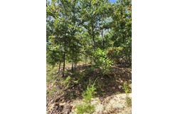 Unincorporated, MO 65066