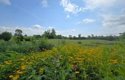 4522 Route 9G, Germantown, NY 12526