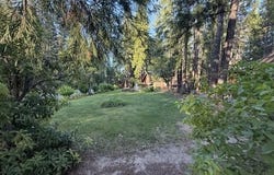 248 N Fork Cutoff Road, Trinity Center, CA 96091