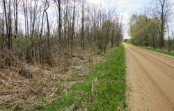 VL Peoples Road, Edmore, MI 48829
