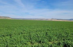 67502 Scott Rd, Hines, OR 97738