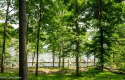52 Lakeshore Cir, Leitchfield, KY 42754
