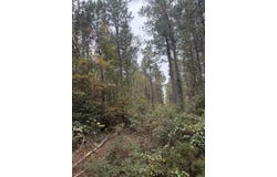 Hitt Road, Murfreesboro, AR 71958