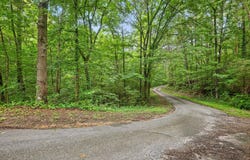 0 Crestline Drive, Rossville, GA 30741