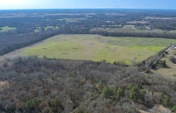80ac Lot2 County Road 2376, Winnsboro, TX 75494